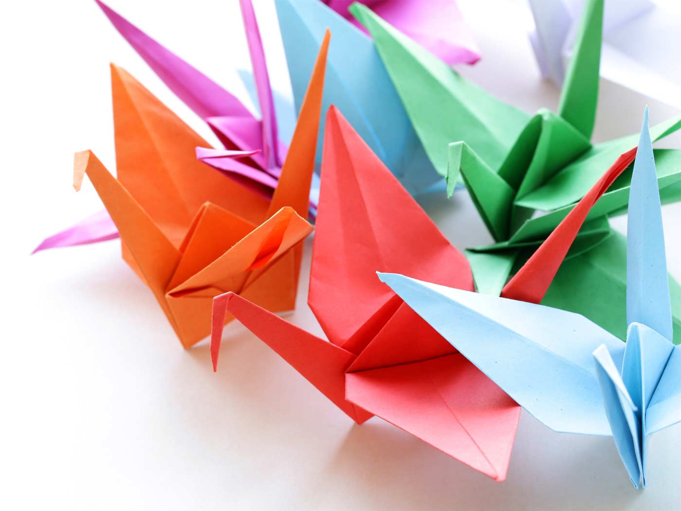 Activité Origami