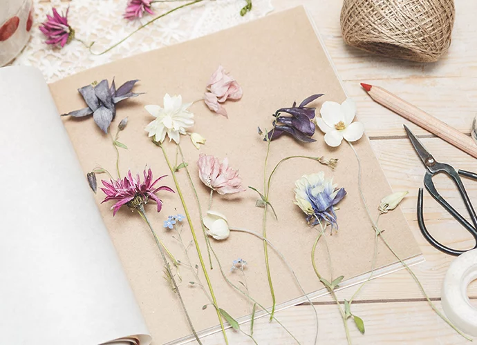 herbier